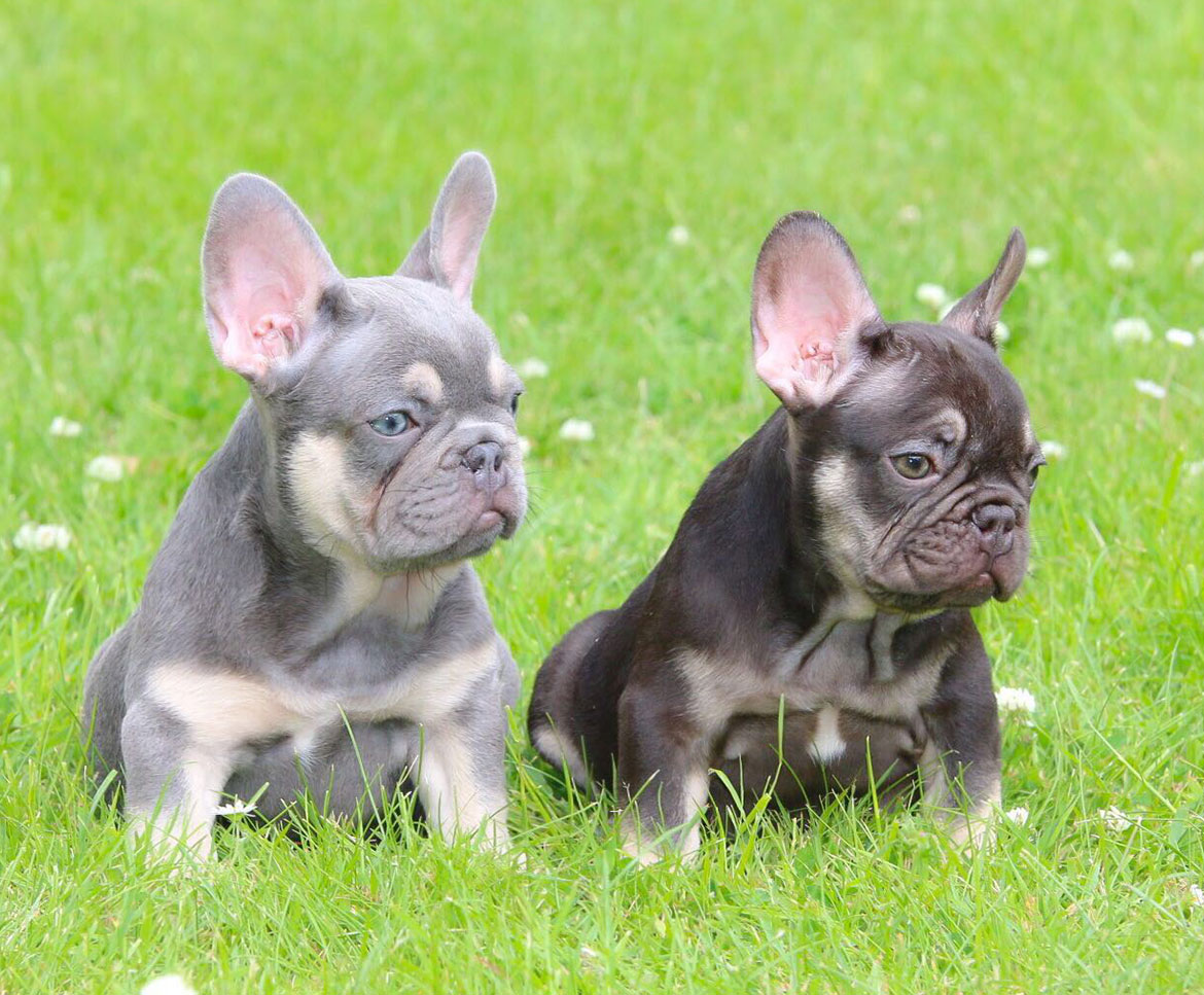 Embracing Rare Colour