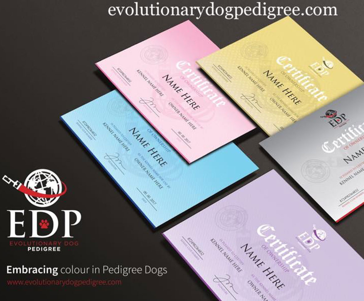 Evolutionary Dog Pedigree Has Arrived